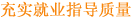 充实就业指导质量