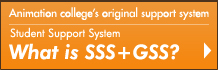 What is SSS+GSS?